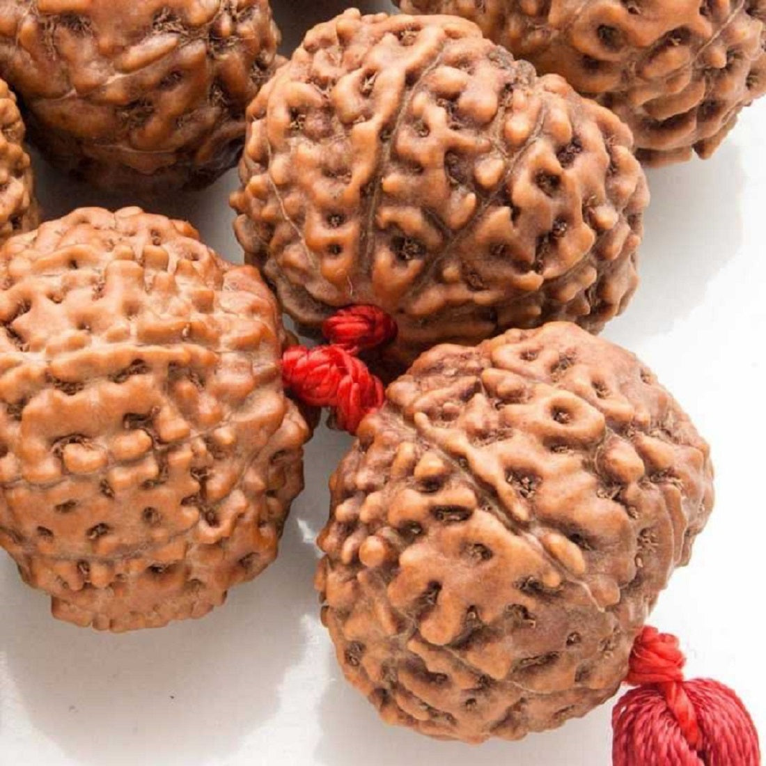 ShivaRatna 8 Mukhi Rudraksha Mala - Lab Certified