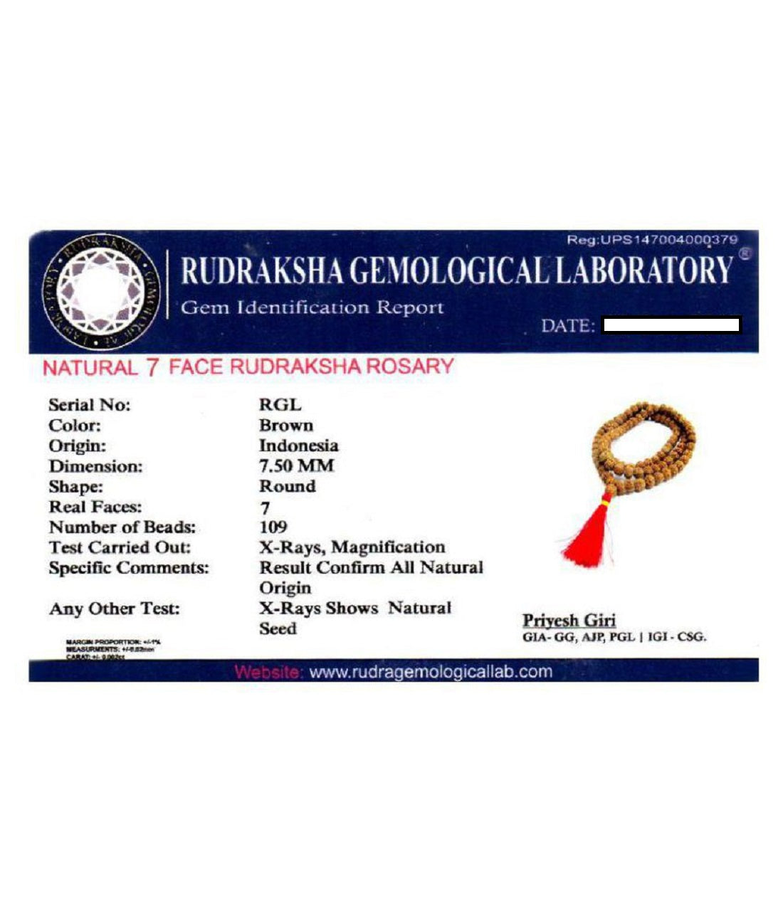 ShivaRatna 7 mukhi Rudraksha (108+1 beads)- Lab Certified - ShivaRatna