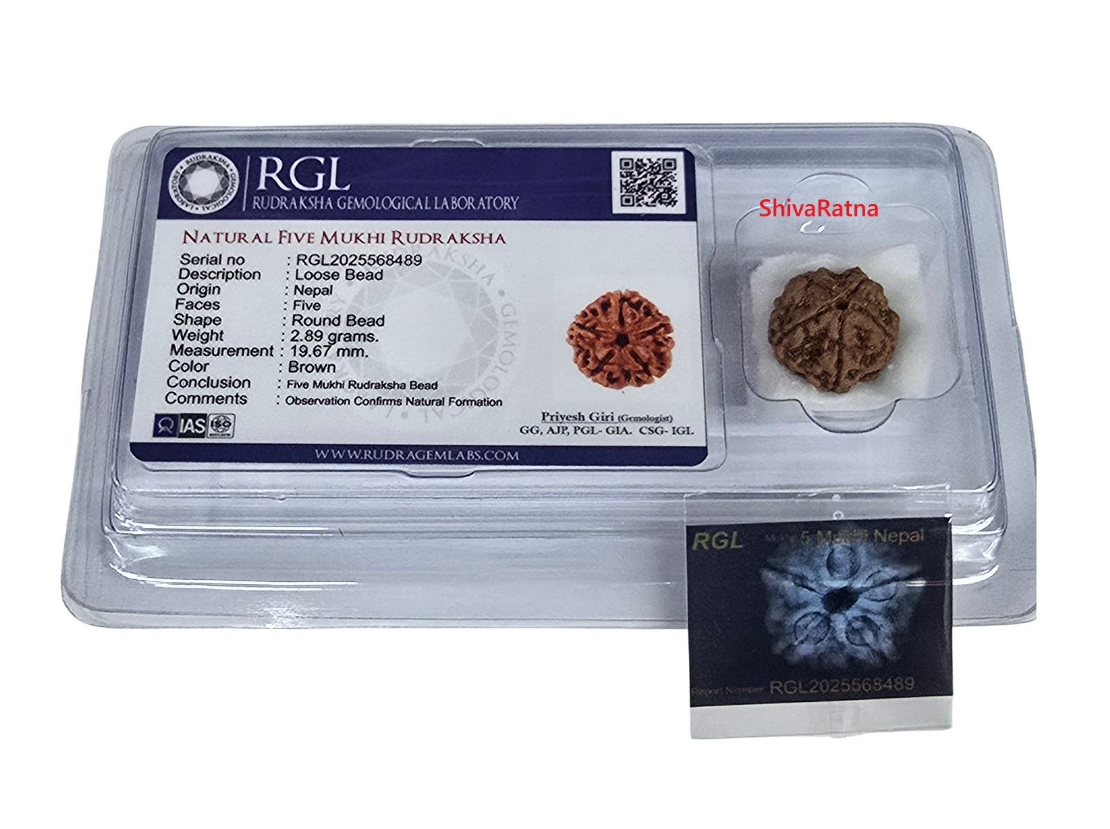 shivaratna rudraksha with iso certified lab and xray report
