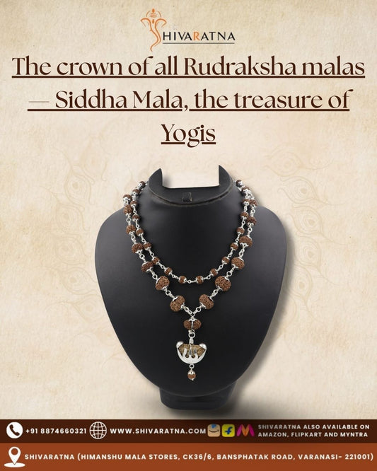 ShivaRatna Siddha Rudraksha Mala 1-14 Mukhi + 5 Mukhi Rudraksha Mala in Silver - Lab Certified