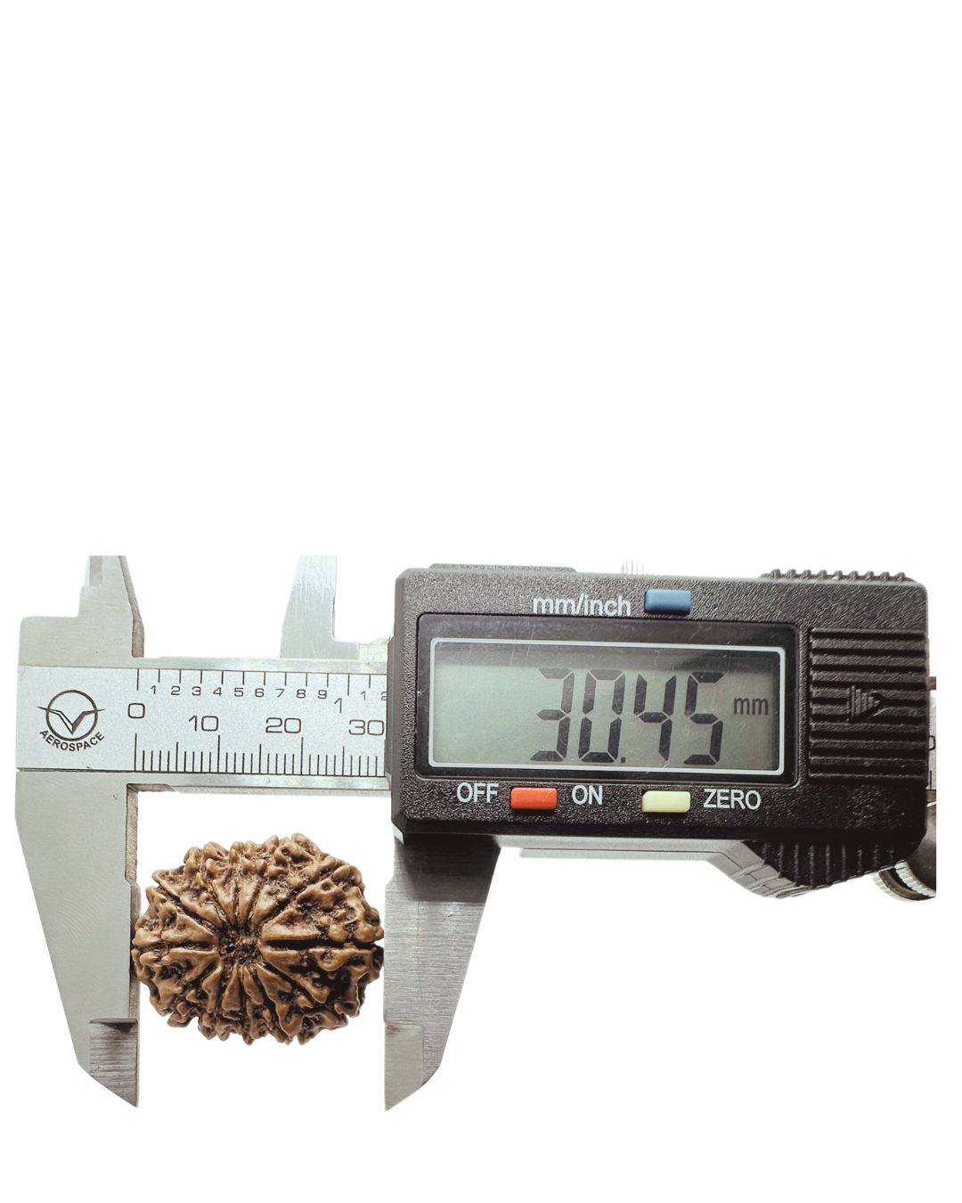 ShivaRatna 12 Mukhi Lab Certified Rudraksha (Origin Nepali) Super Elite (Collector) Bead