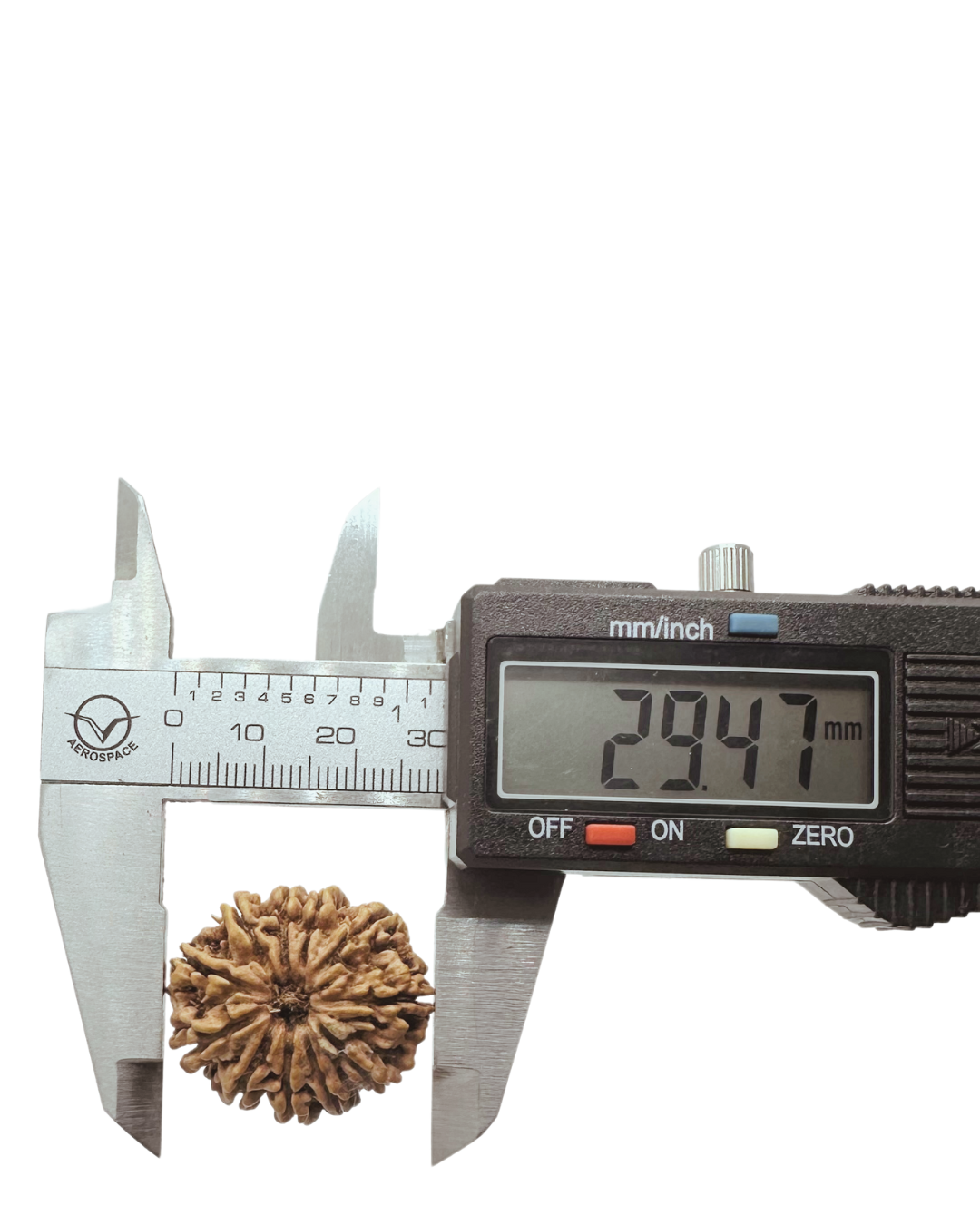 ShivaRatna 11 Mukhi Lab Certified Rudraksha (Origin Nepali) Super Elite (Collector) Bead