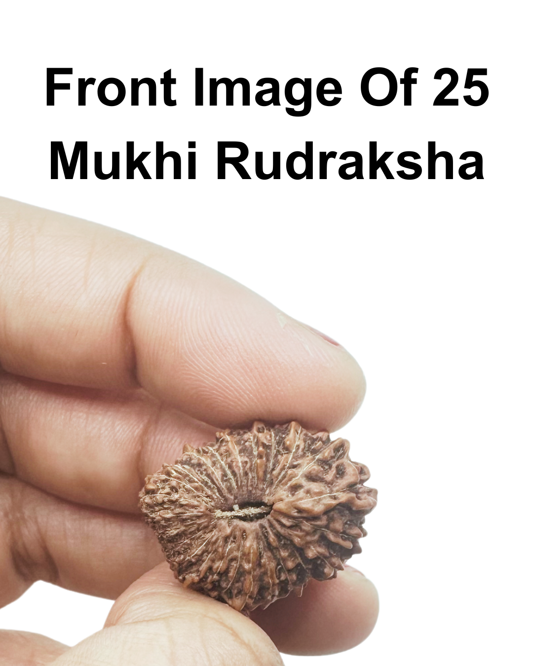 indonesian (java) collector bead by shivaratna of 25mukhi