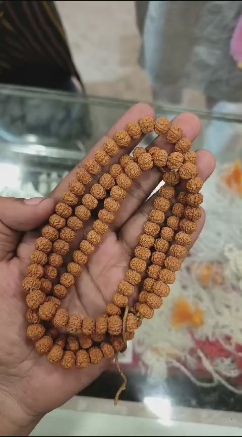 ShivaRtana Rudraksha Pathri (Chikhna) Mala -10MM
