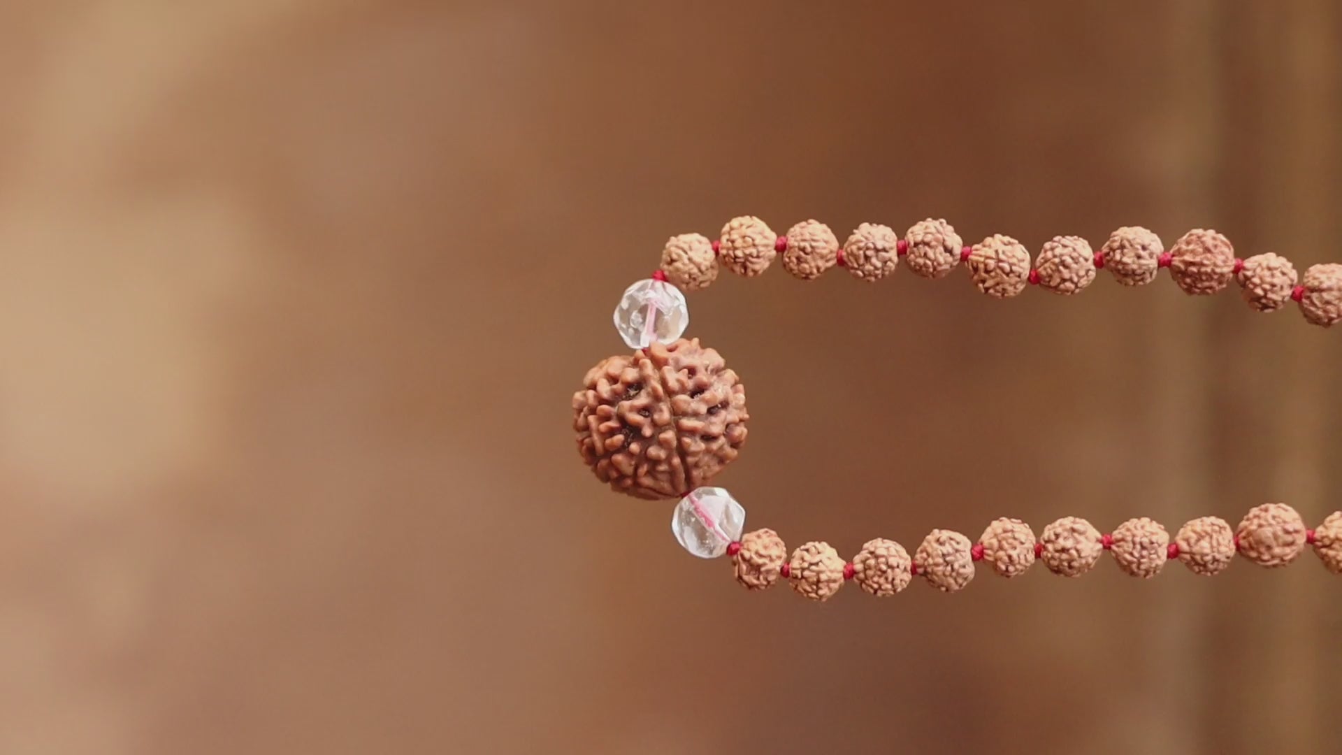 orignal rudraksha with sphatik beads by shivaratna