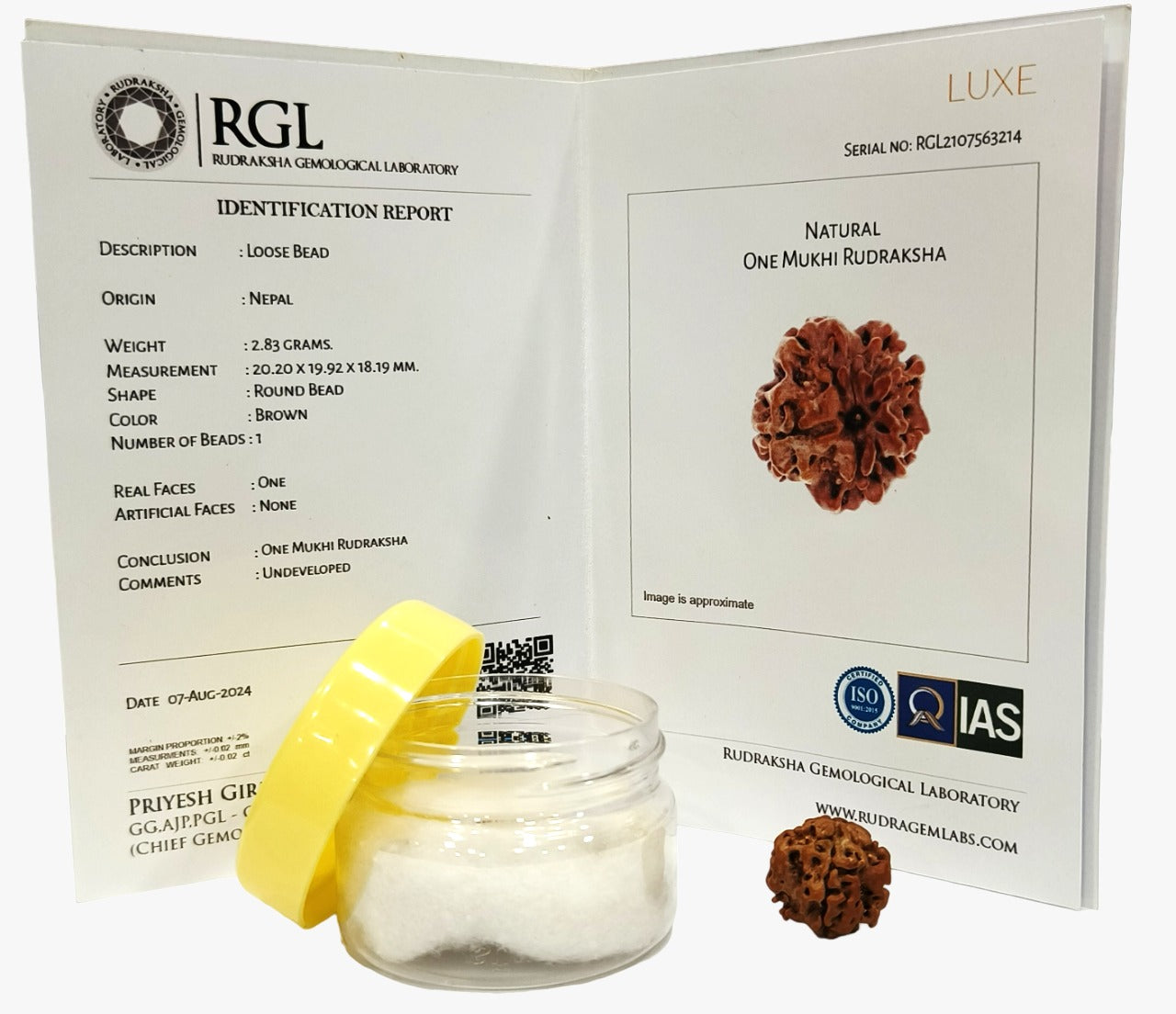 hand picked rudraksha 