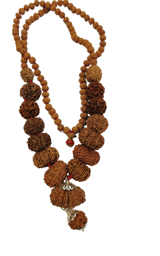ShivaRatna Siddha Rudraksha Mala 1-14 Mukhi and GauriShankar , Ganesh + 5 Mukhi Rudraksha Mala - Lab Certified(ELITE BEADS)