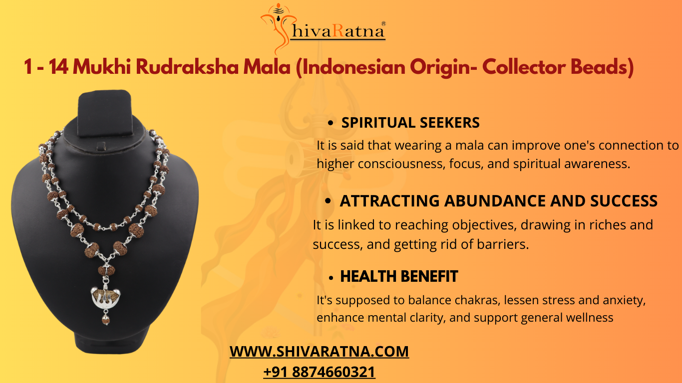 1-14mukhi rudraksha mala
