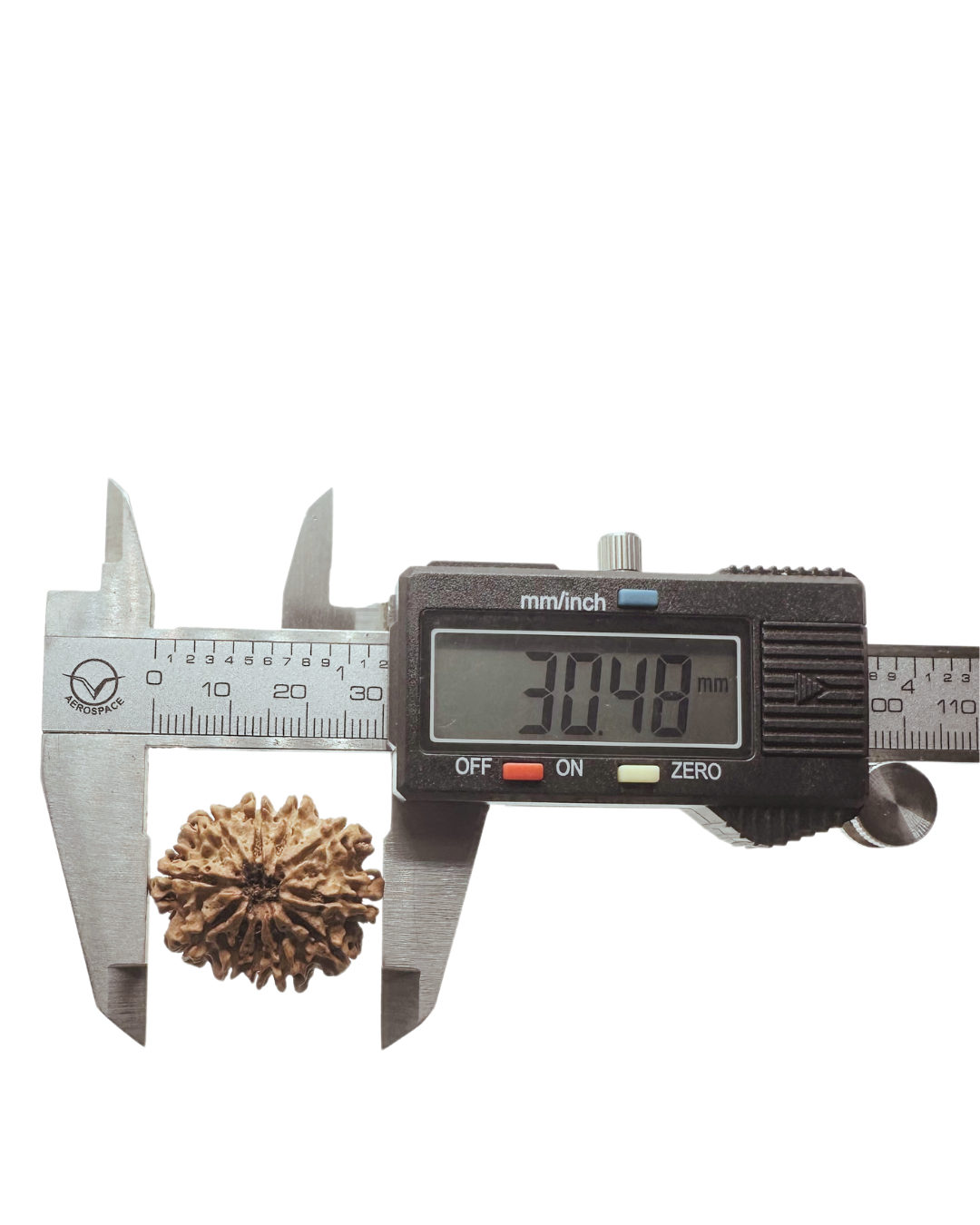 ShivaRatna 11 Mukhi Lab Certified Rudraksha (Origin Nepali) Super Elite (Collector) Bead